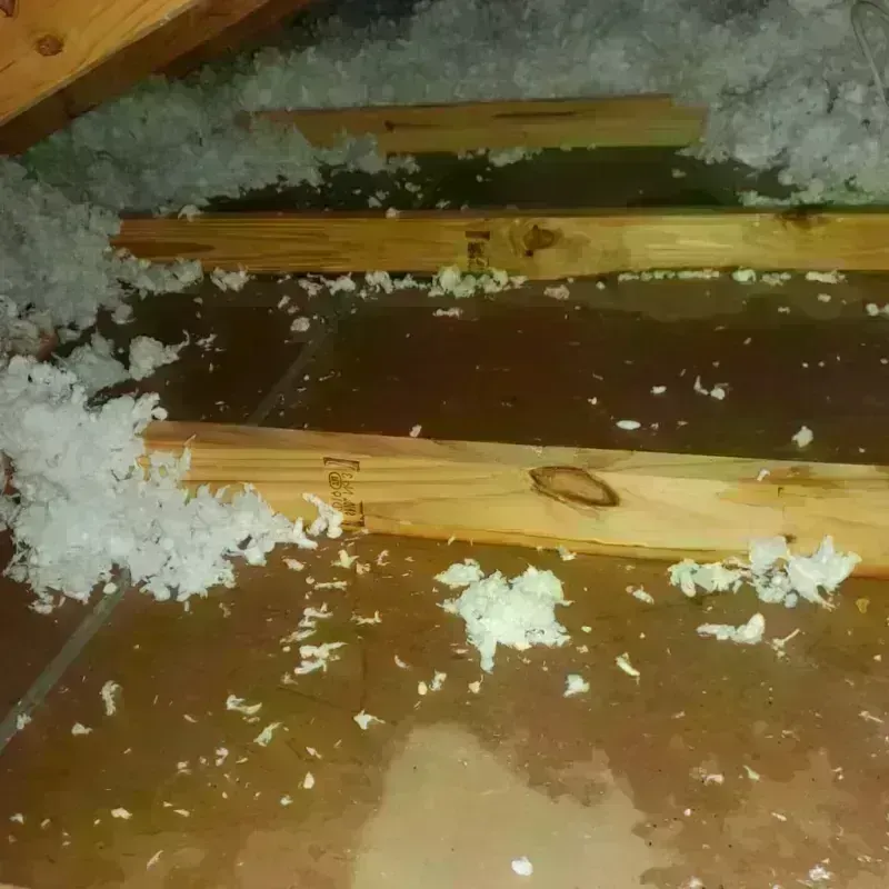 Attic Water Damage in Logan, UT