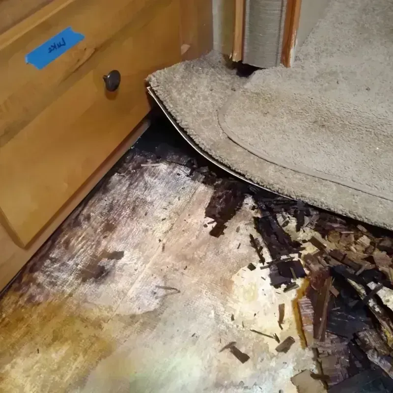 Best Wood Floor Water Damage Service in Logan, UT